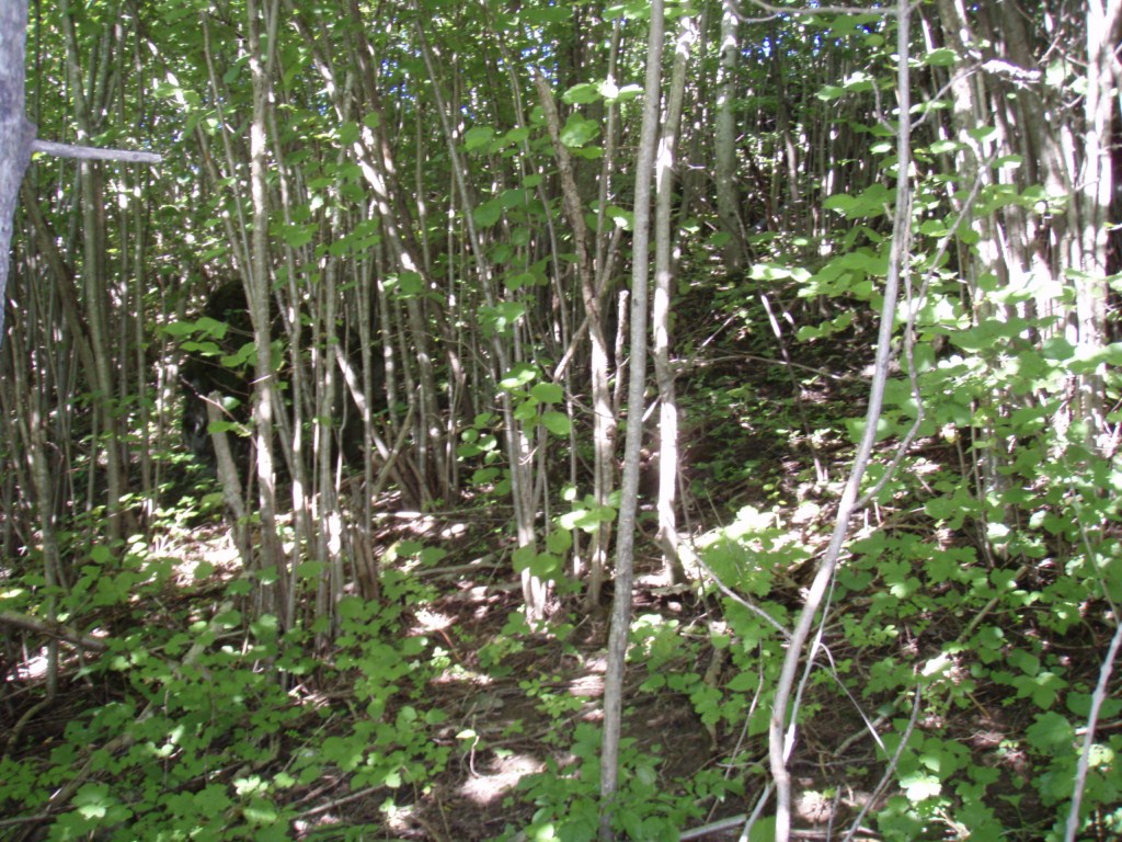 Naturbase faktaark