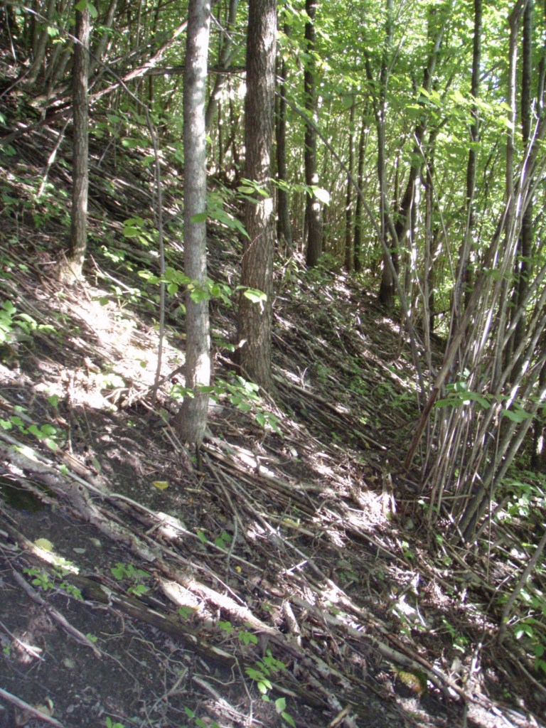 Naturbase faktaark
