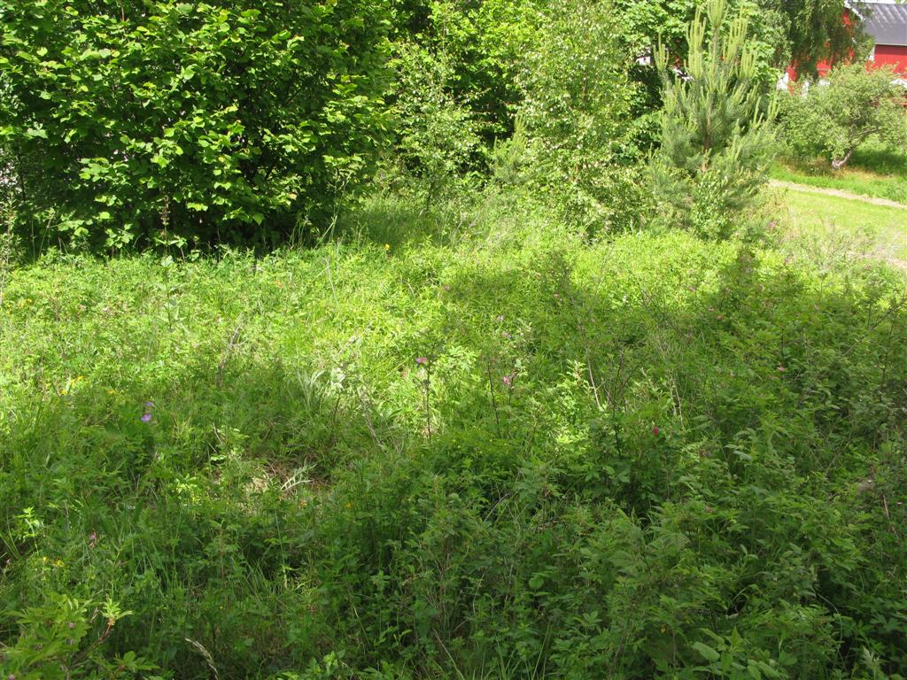 Naturbase faktaark