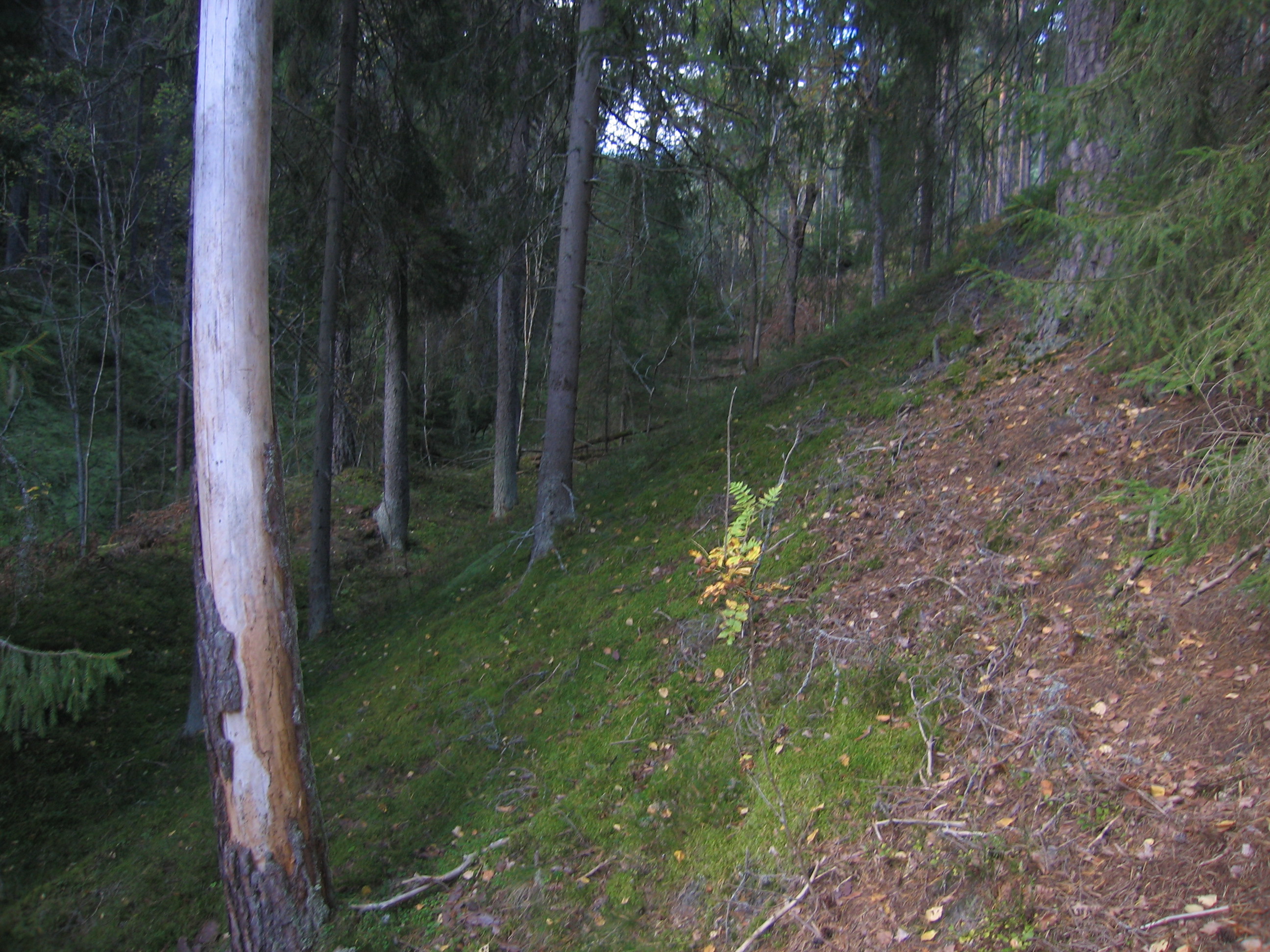 Naturbase faktaark
