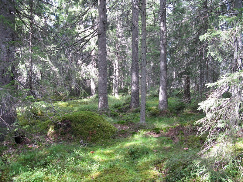 Naturbase faktaark