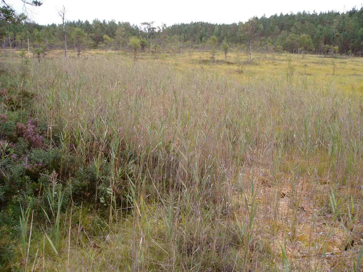 Naturbase faktaark