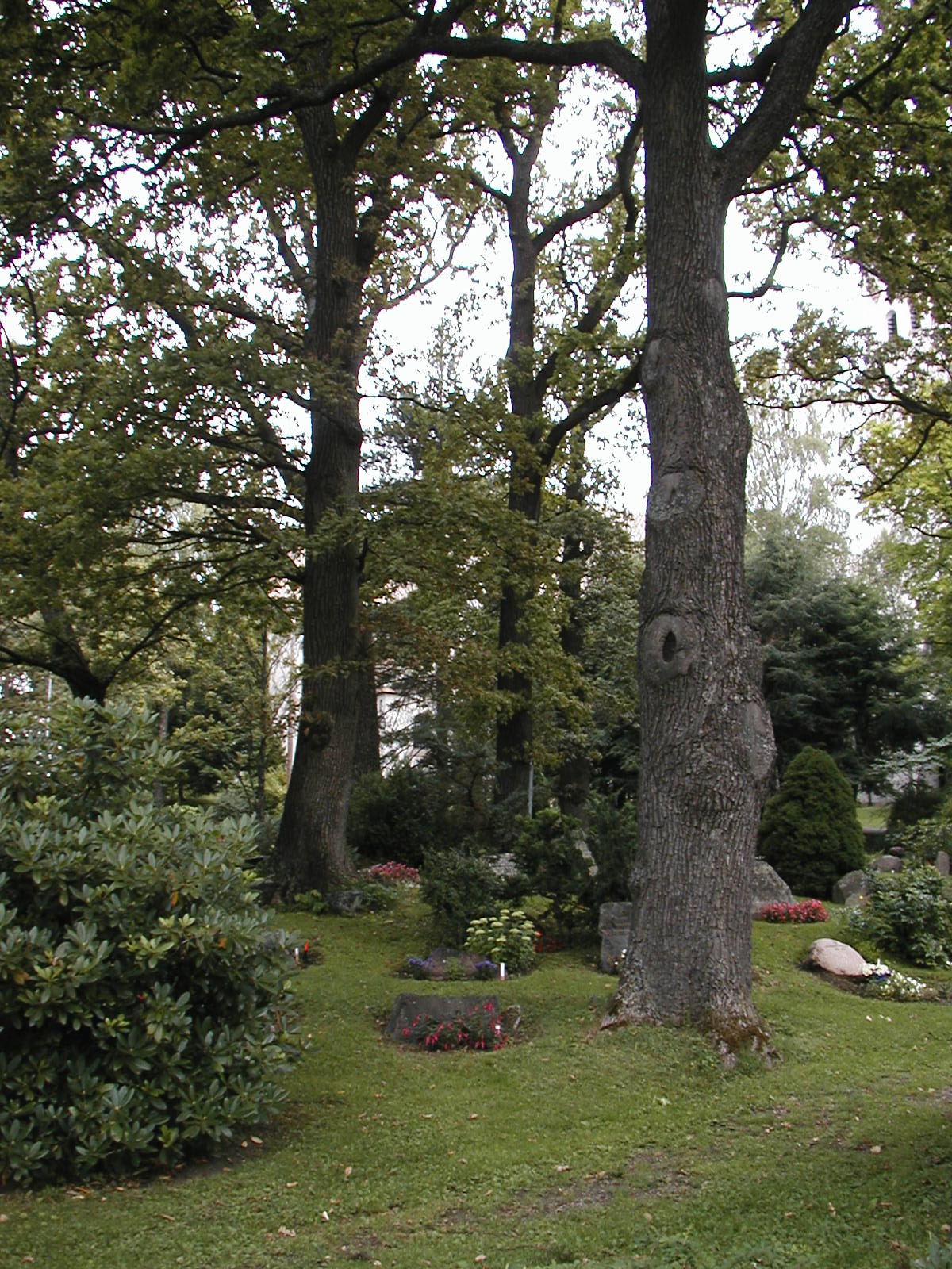 Naturbase faktaark