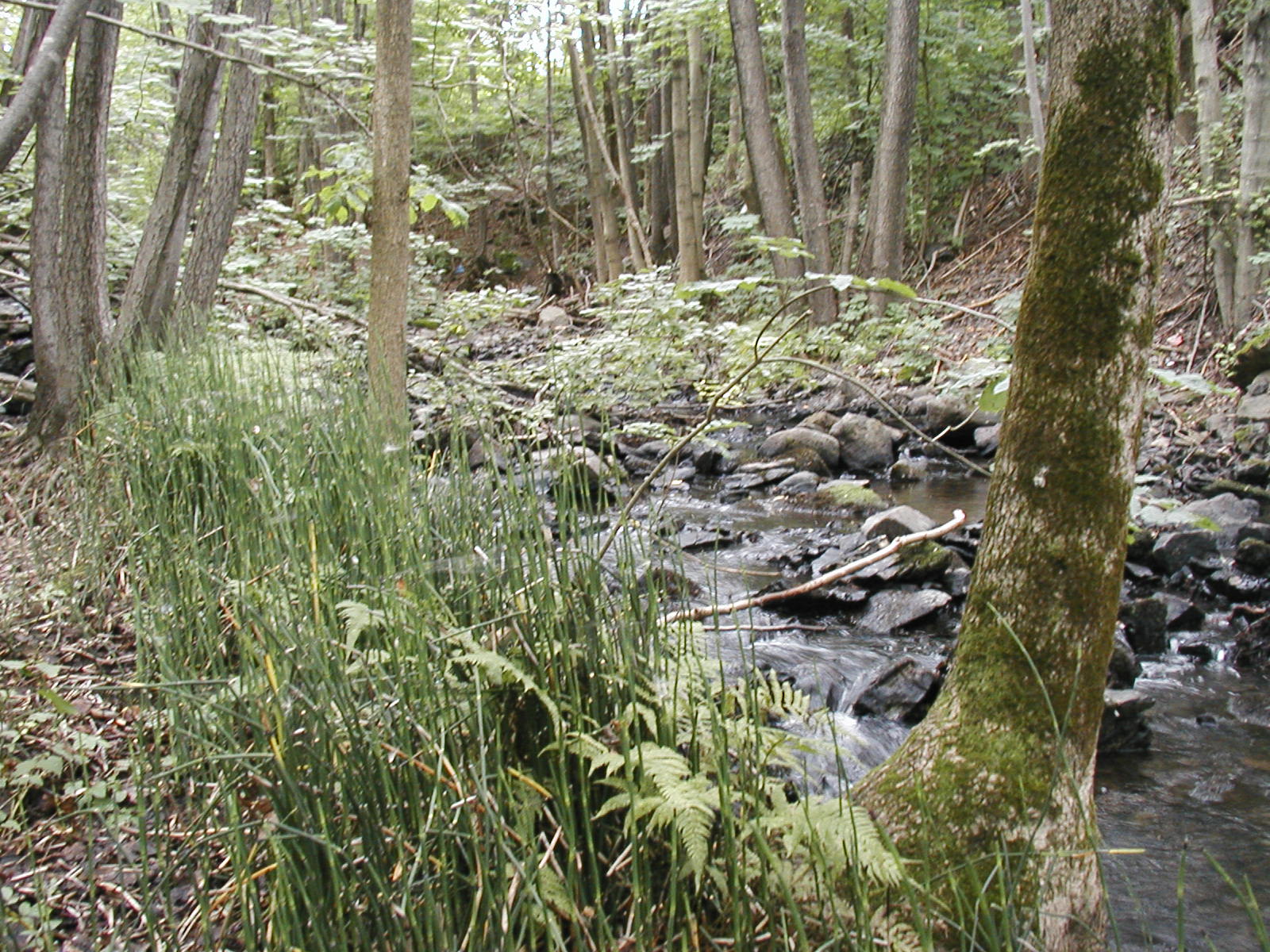 Naturbase faktaark