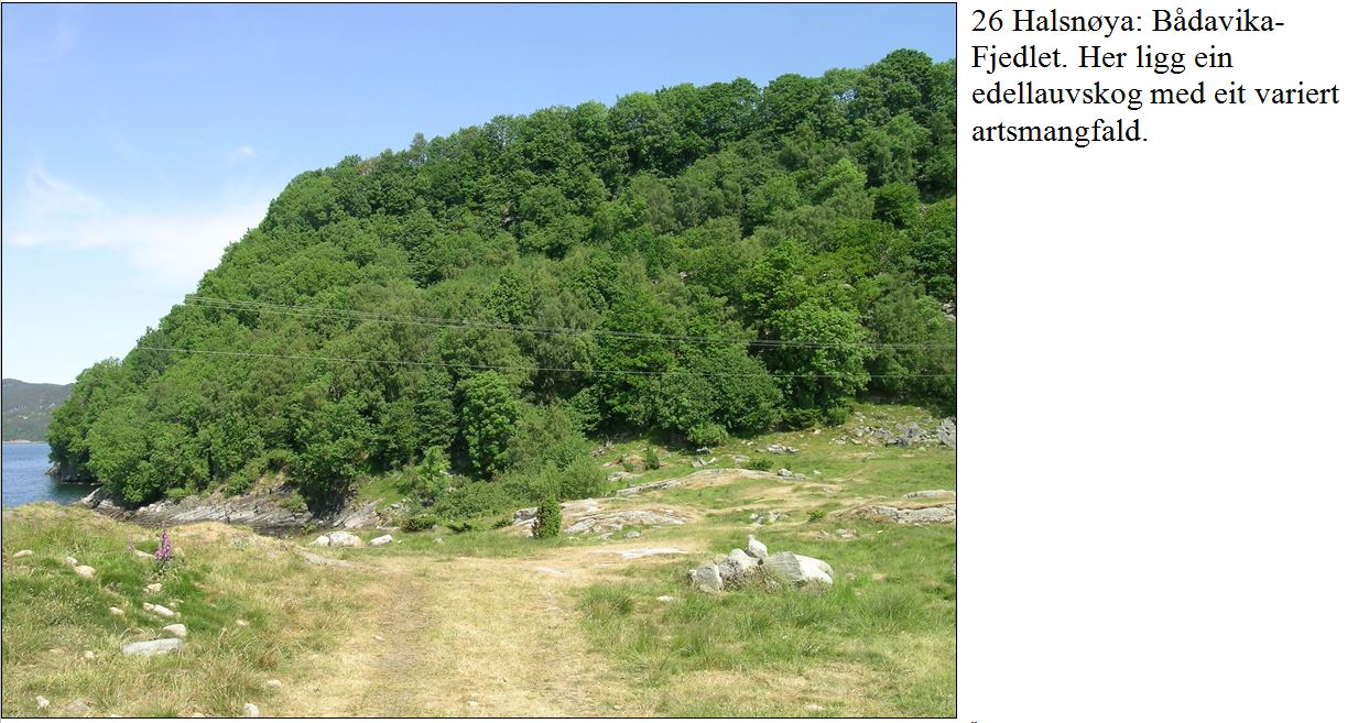Naturbase faktaark