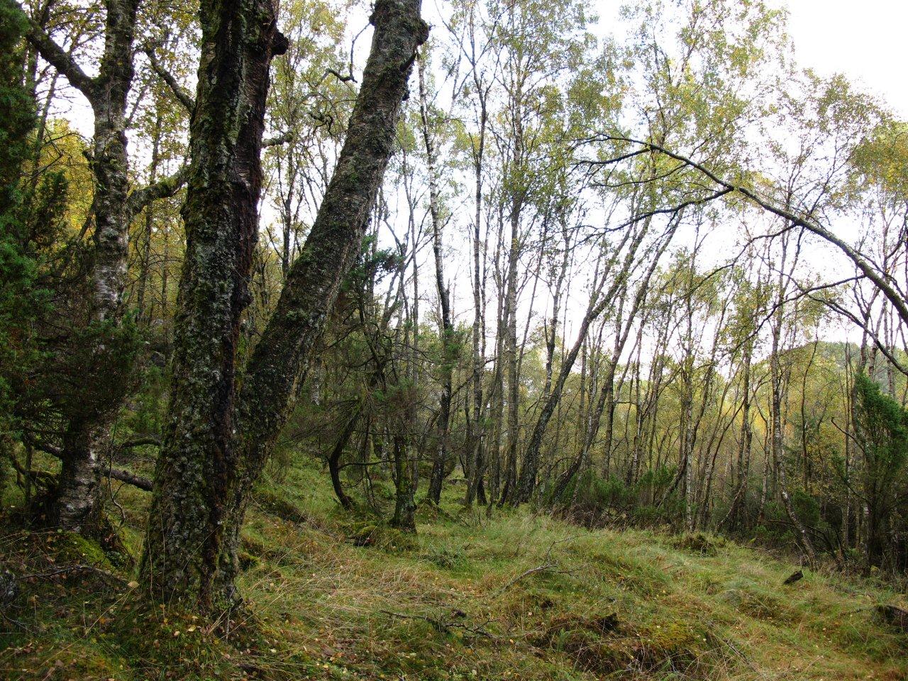 Naturbase faktaark