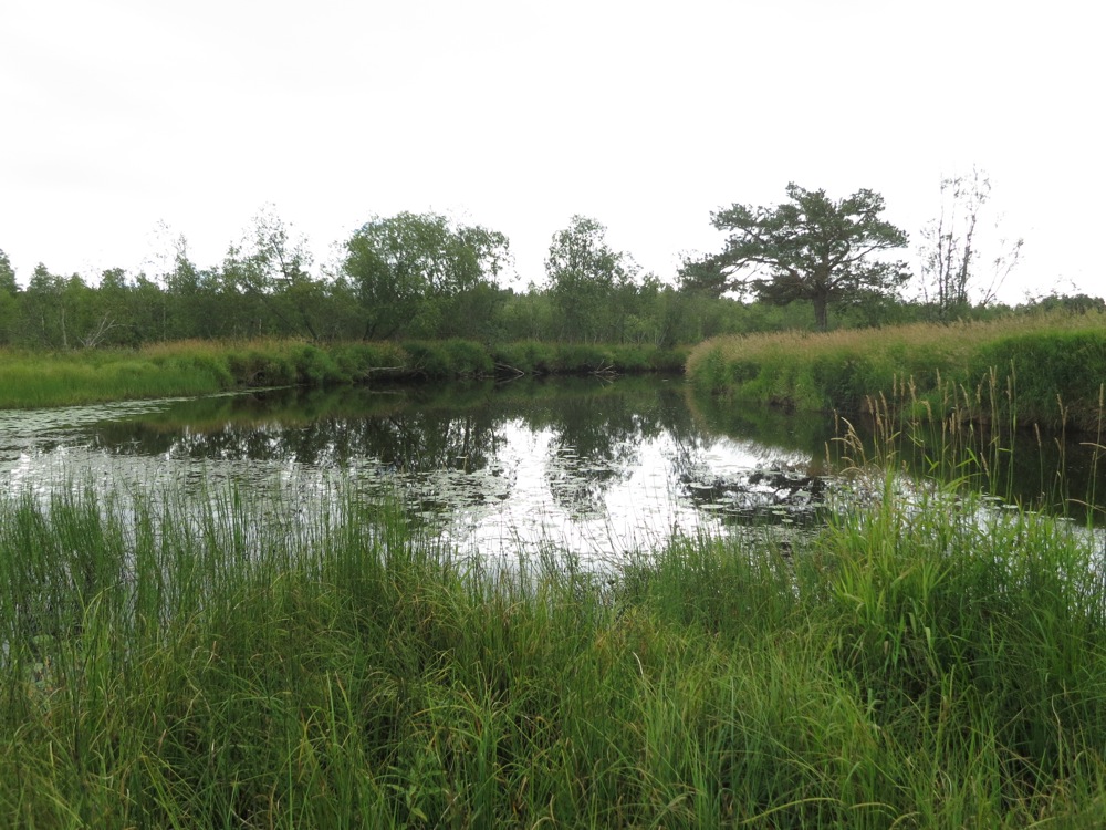 Naturbase faktaark