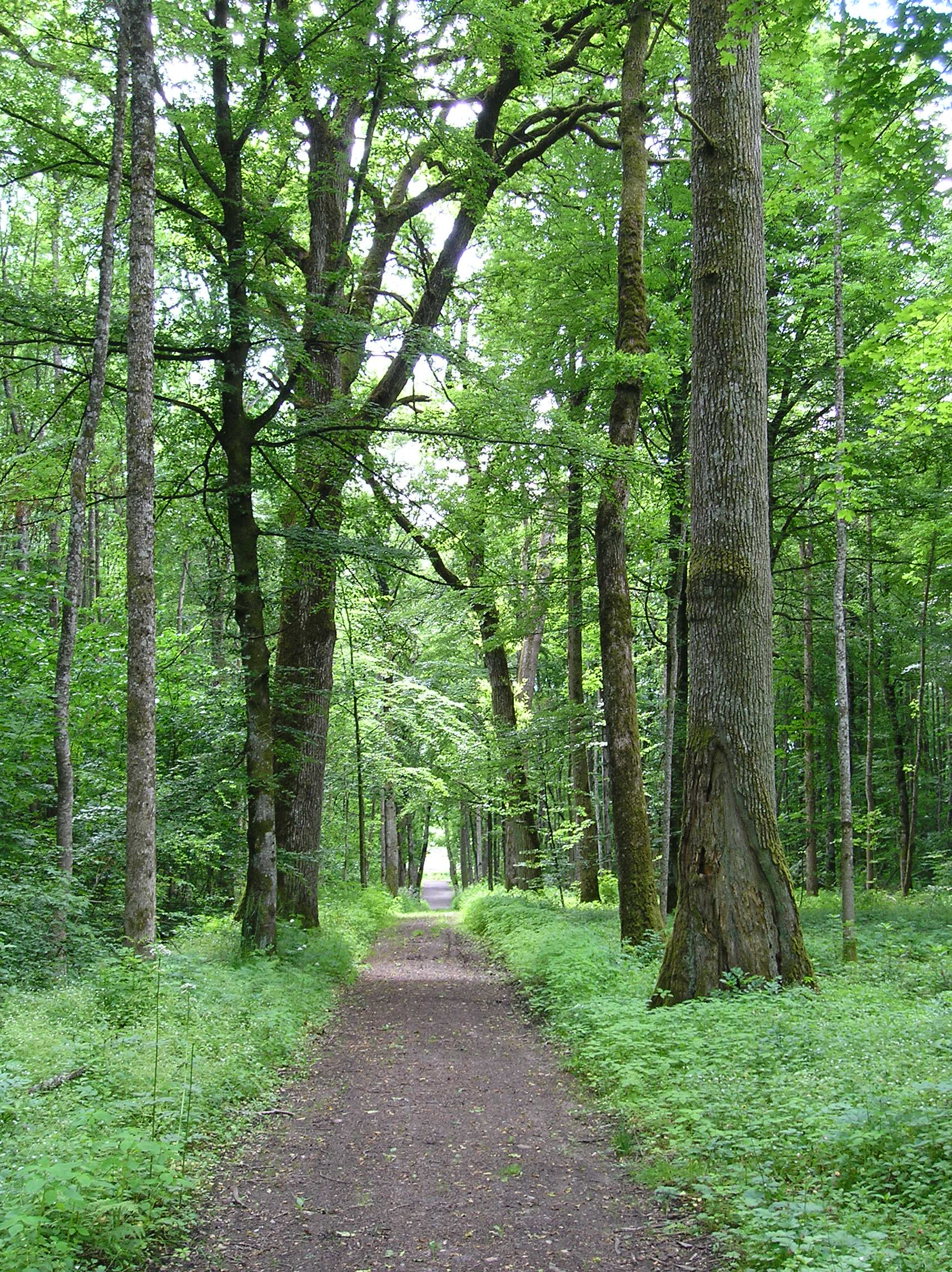 Naturbase faktaark