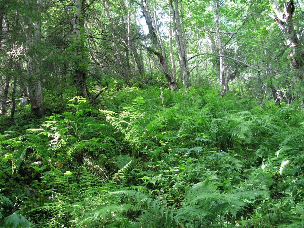 Naturbase faktaark