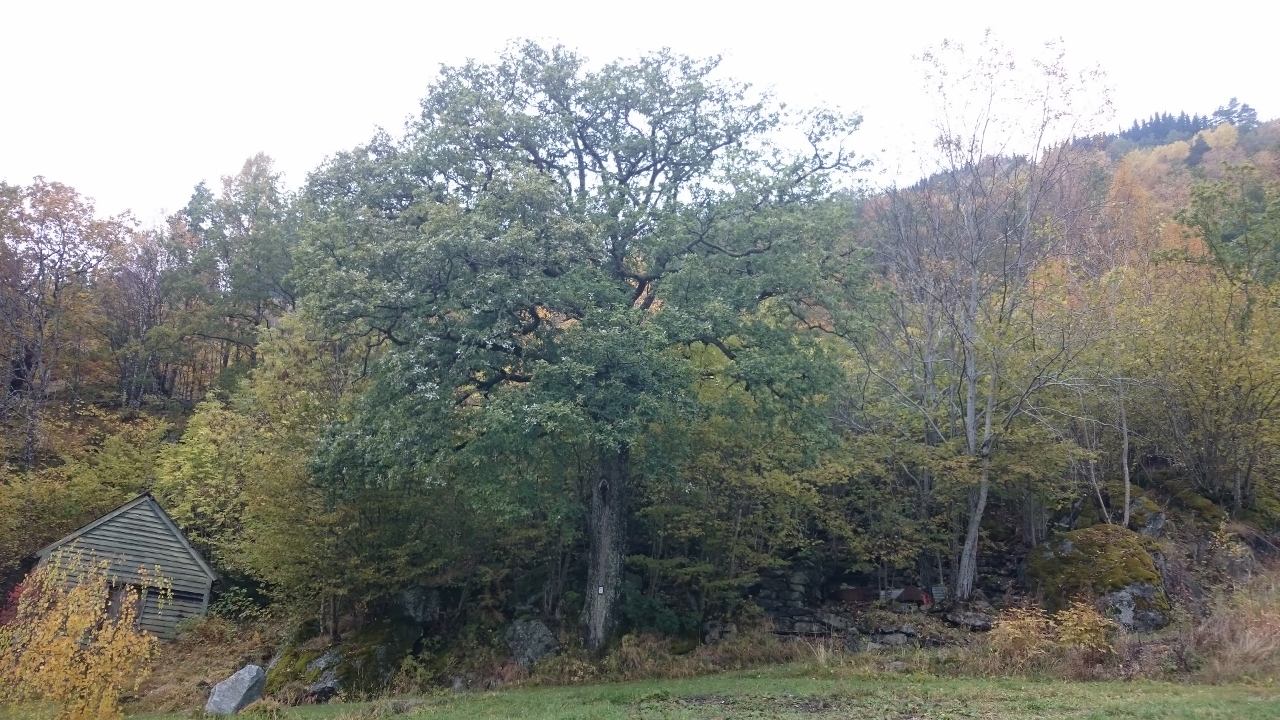 Naturbase faktaark