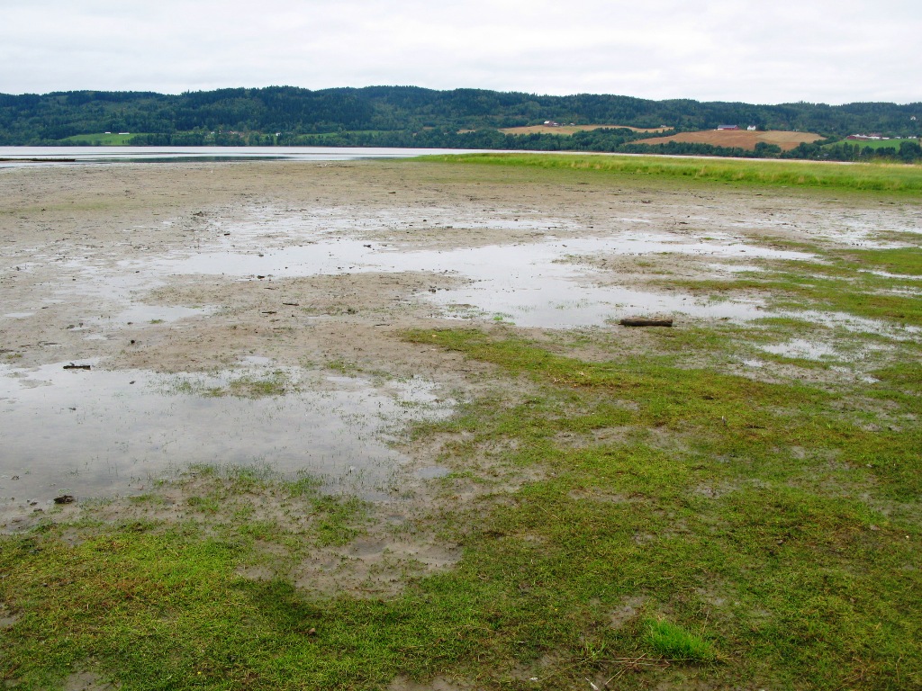 Naturbase faktaark